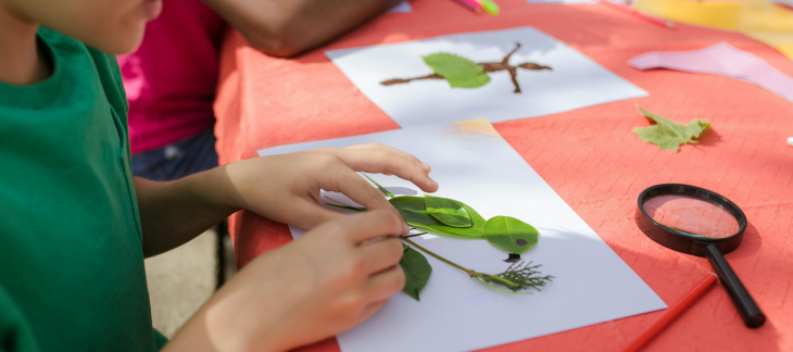 Camps extrascolaires