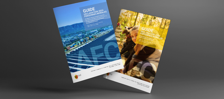 Les guides fiscaux des personnes morales 2024