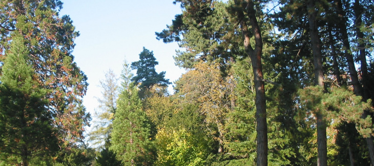 Parc STAGNI