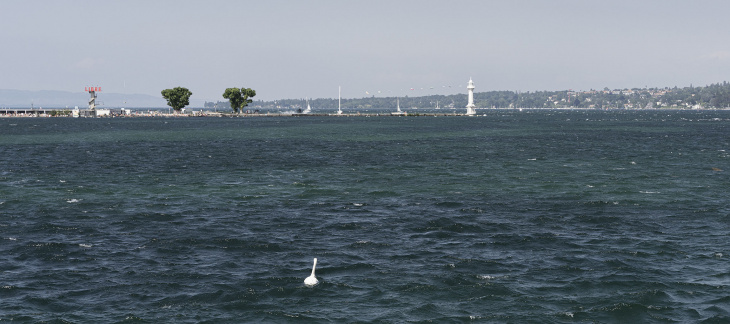 Paysage genevois : bains et phare des Pâquis © Matthieu Gafsou