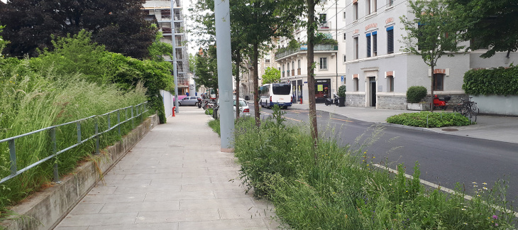 Rue à Genève Rue à Genève
