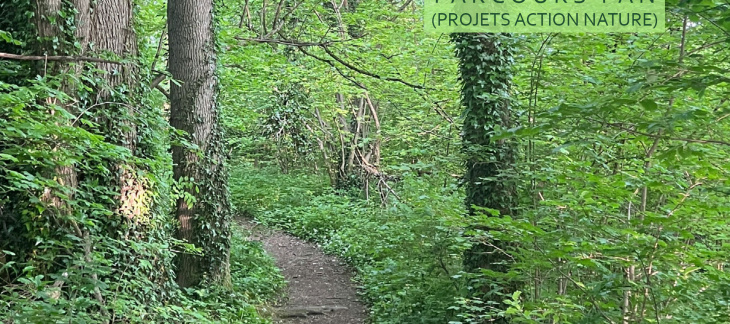 Parcours PAN Chemin dans une forêt