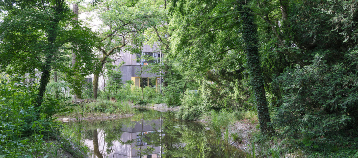 Etang des Tritons (photo : Loris Von Siebenthal) Etang des Tritons