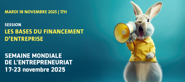 Les bases du financement d’entreprise 