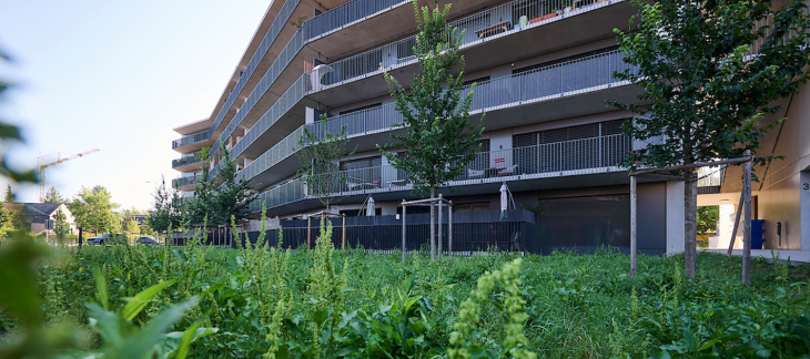 Nouveau quartier (c) Loris Von Siebenthal Nouveau quartier (c) Loris Von Siebenthal