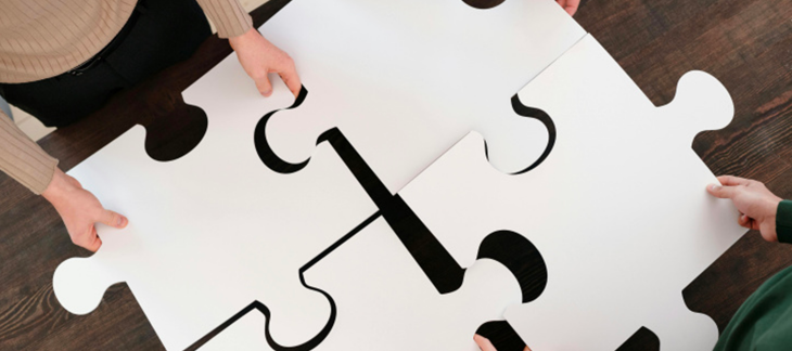 Journées nationales de la CII 2025 à Genève : retours