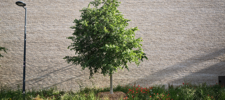 Fosse de Stockholm à la rue Joseph-Girard