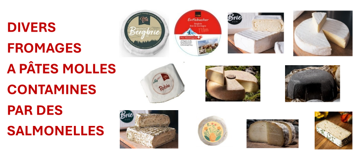 Fromages à pâtes molles contaminés par des Salmonelles