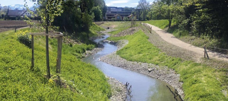 Renaturation cours d'eau Canton de Genève