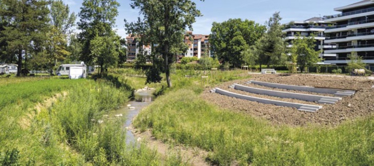 Renaturation cours d'eau Canton de Genève