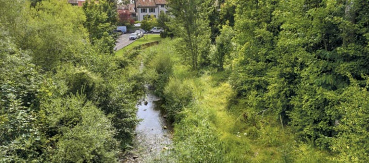 Renaturation cours d'eau Canton de Genève