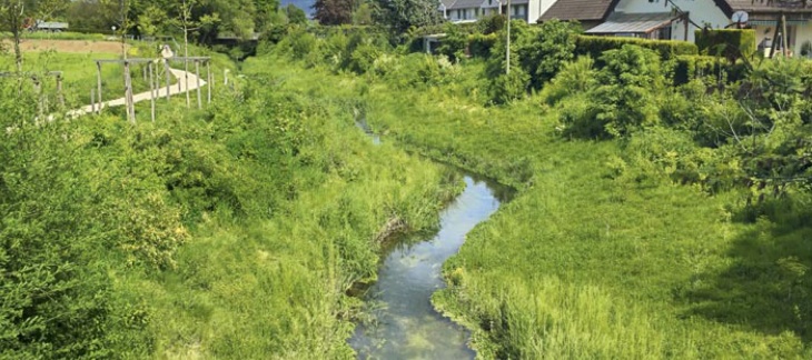 Renaturation cours d'eau Canton de Genève