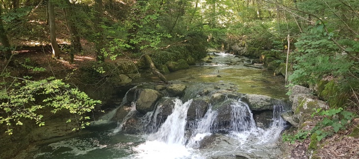 Nant d'Avril - Enrochements le long du vallon boisé