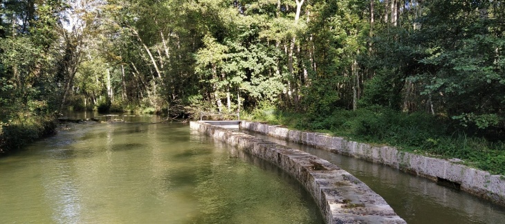 Le canal de Greny et sa prise d’eau (originairement construite au 13ème siècle) sur la commune de Divonne-les-Bains (FRA), sont à proximité immédiate de la frontière suisse (Vaud). Ce canal est issu d’une dérivation de la rivière Divonne (la Versoix). Après la traversée de Bogis-Bossey, le canal se scinde en deux cours d’eau qui se rejettent dans le lac Léman au niveau du Canton de Genève.