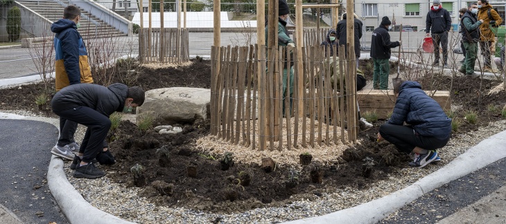 Plantation dans le préau Sécheron © JohannesMarburg