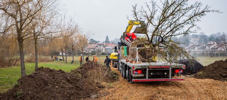 Réaménagement de la route de Lausanne à Bellevue