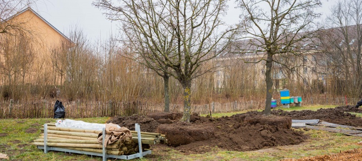 Réaménagement de la route de Lausanne à Bellevue