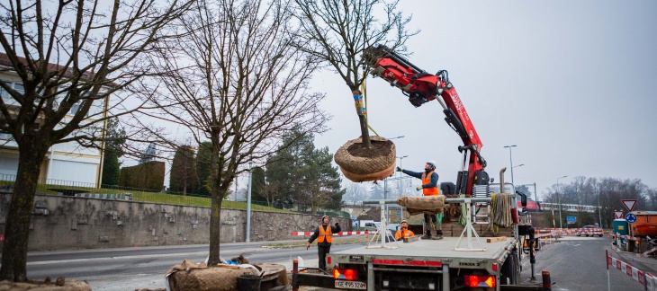 Réaménagement de la route de Lausanne à Bellevue