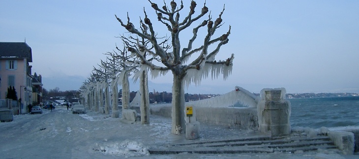 Vague de froid - Quai de Corsier