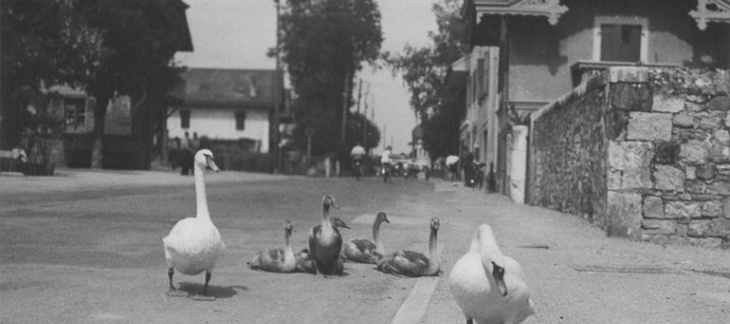 Bellevue - Photo historique