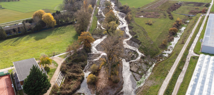 4ème étape de la renaturation de l'Aire - Pely Certoux (2022)