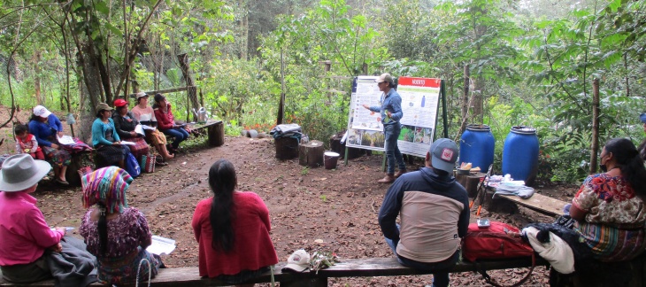 Centre de formation en agroécologie de Vivamos Mejor, Panajachel, Guatemala - Crédit photo SSI