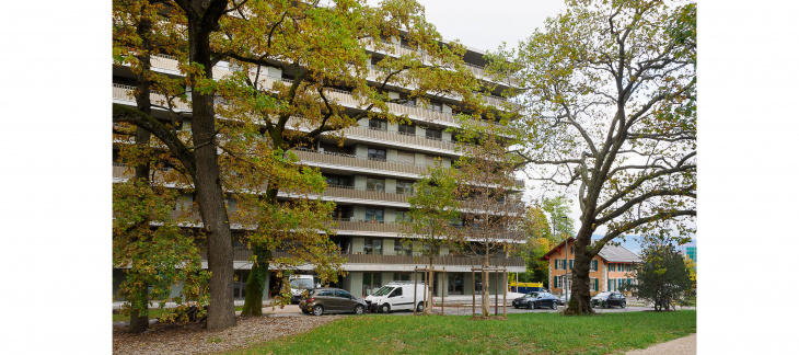 Quartier Surville - des grands arbres autour des bâtiments © Daniel Gubler