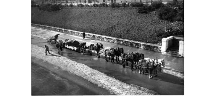 Transport de la Pierre-aux-Dames au Musée d’art et d’histoire par le boulevard Emile-Jaques-Dalcroze. © J. Zimmer, 1942, BGE.
