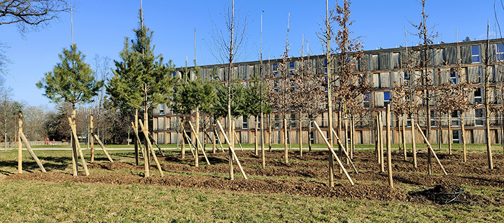 Pépinière urbaine, Parc Rigot - © Etat de Genève