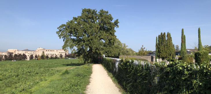 Chemin bordant le cimetière et arbres conservés par le projet (photo : Christian Exquis)