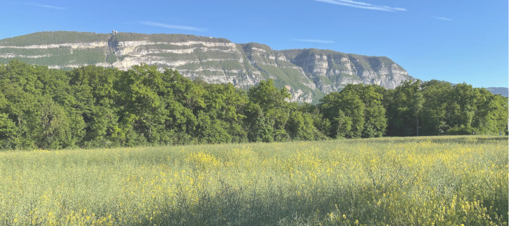 Projet Pré-des-Dames - site actuel - photo : Boccard