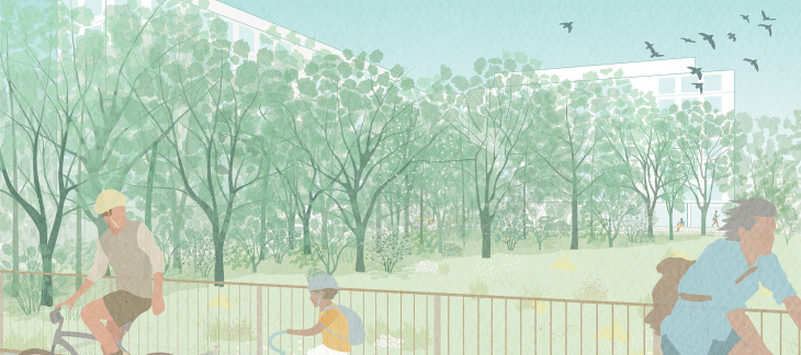 Projet Pré-Bois - forêt - illustration Oxalys