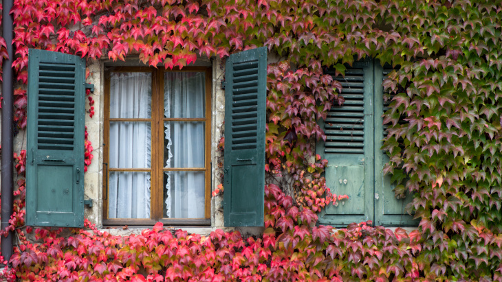 Facade recouverte de liège d'un bâtiment