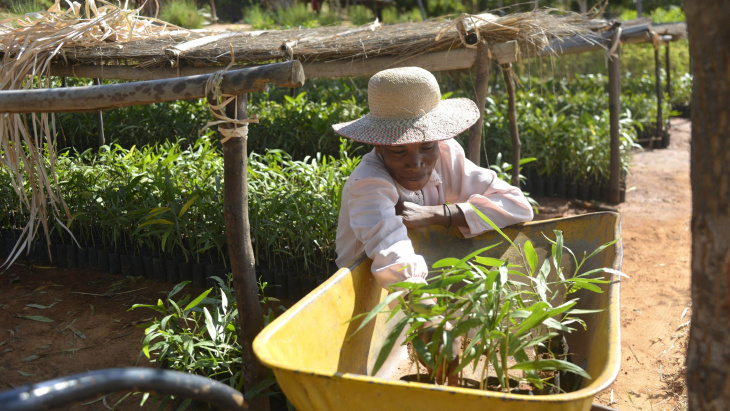 Crédit: EcoFormation