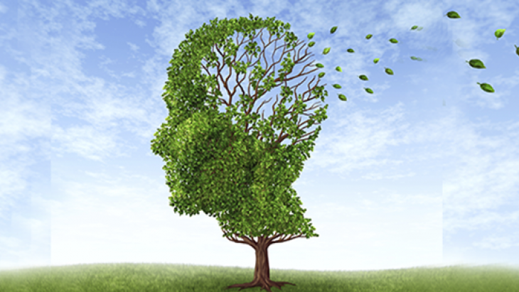 Plan Alzheimer du canton de Genève 2016-2019 