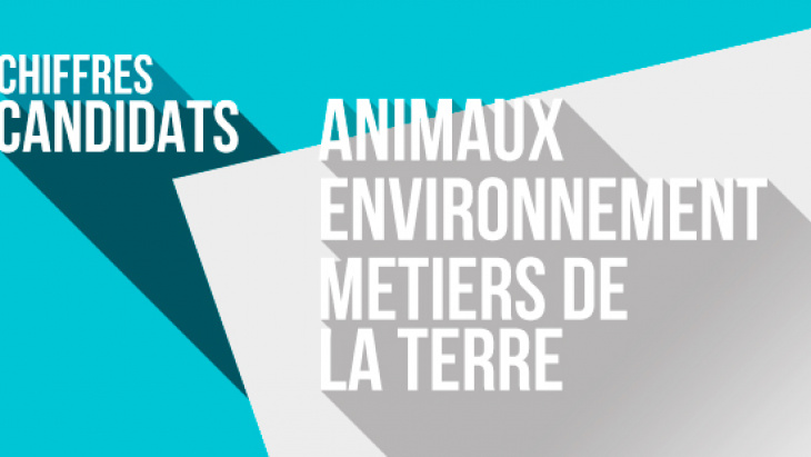 Combien de candidats avons-nous dans ces secteurs ? 