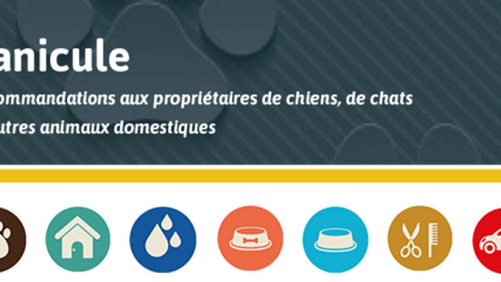 Protégez vos animaux de la chaleur ! 