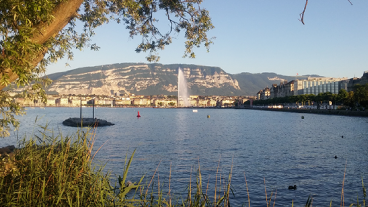 L'alerte canicule est déclenchée à Genève