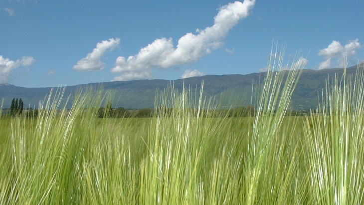 Le développement durable est ancré dans la Constitution genevoise