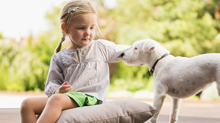 Information concernant la remise de marque de contrôle pour les chiens 