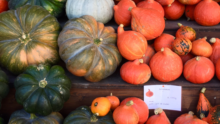 courge locale diversité