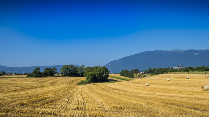 Agriculture durable