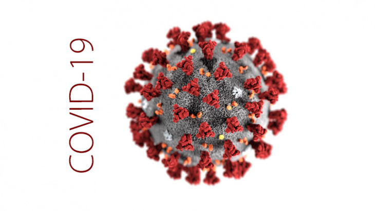 COVID-19 : production de denrées alimentaires 