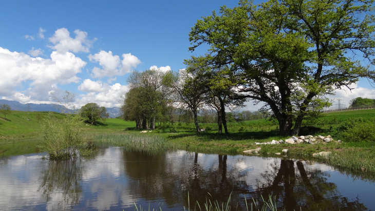 Un corridor biologique