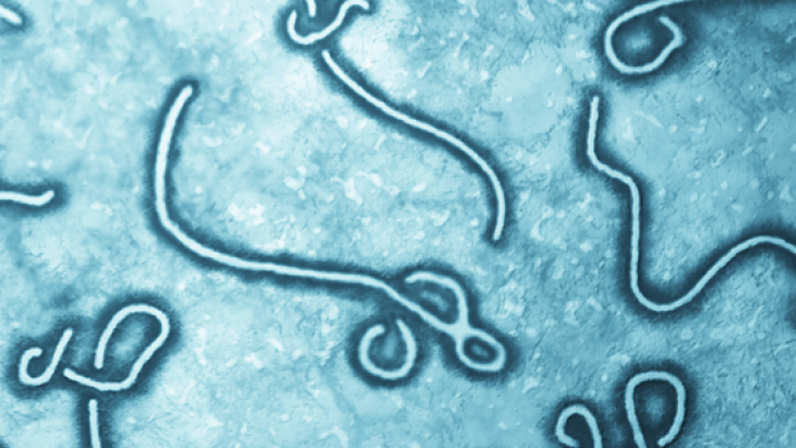 Hospitalisation aux Hôpitaux universitaires de Genève d’une personne atteinte du virus Ebola