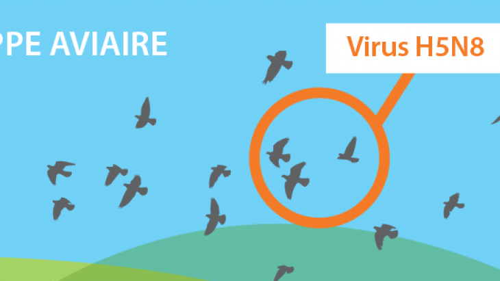 Grippe aviaire: information importante du vétérinaire cantonal - point de situation du 17 mars 2017