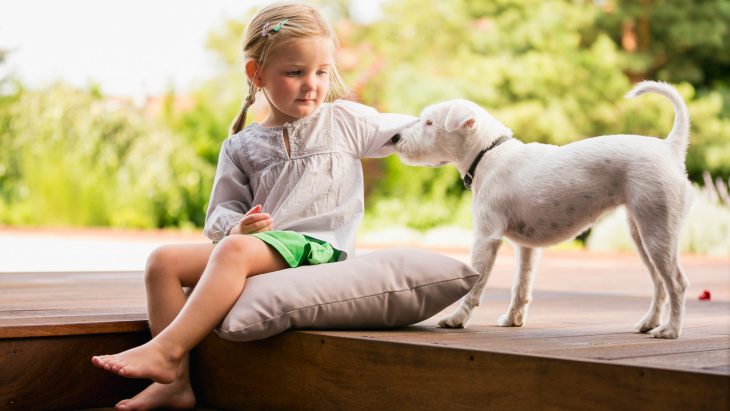 Les animaux ne sont pas des cadeaux