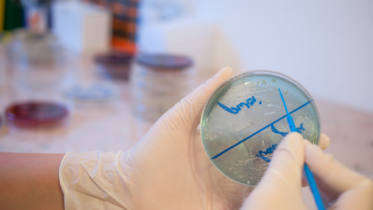 Rapport final du projet pilote de surveillance de l'antibiorésistance d’agents pathogènes pour les animaux