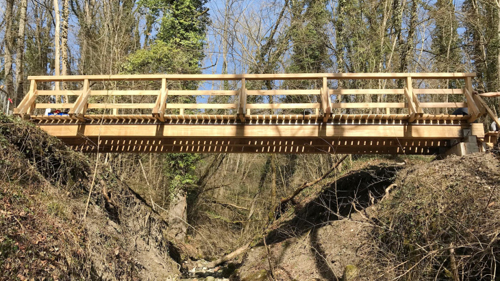 Passerelle du Nant des Fourches