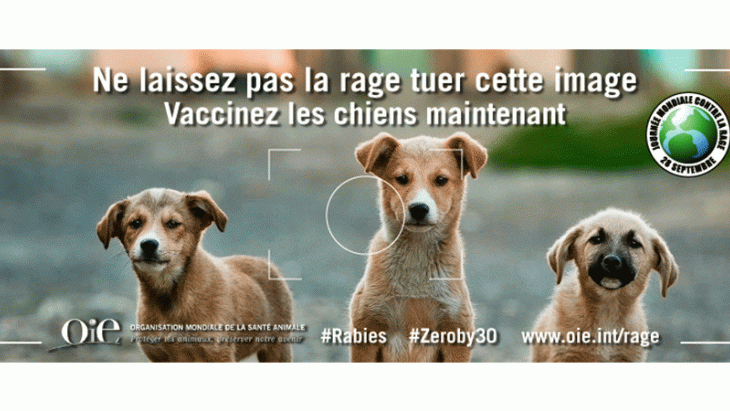 Journée mondiale contre la rage 2018
